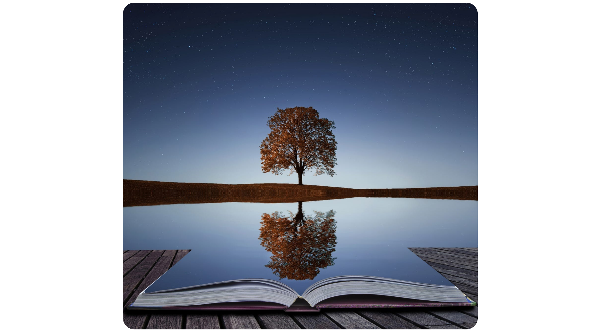 Reflection illustration